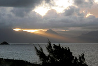 Sun Rays